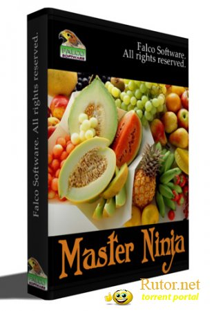 Master Ninja (2011) PC