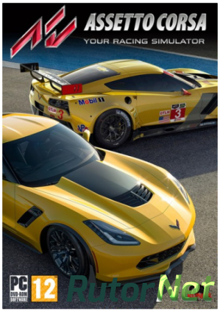 Assetto Corsa [v 1.11.3 + 9 DLC] (2013) PC | RePack от FitGirl